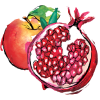 Pomegranate with apple