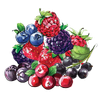 Mixed Berry