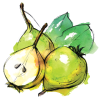 Wild pear